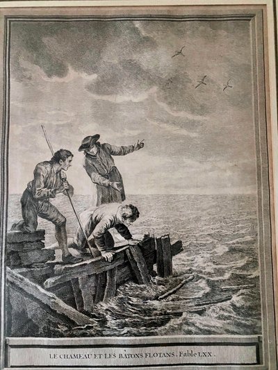 Le Chameau et les batons flotans par J B Oudry