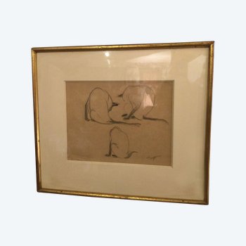 Hélène VOGT "cat study