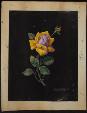 Karton eines Aubusson-Gobelins Blume auf schwarzem Grund