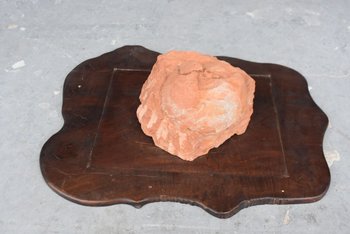 Oeuf Fossile De Dinosaure             