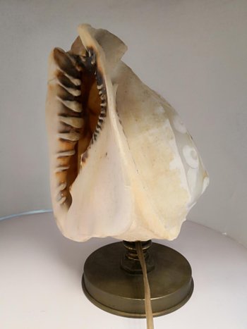             Lampada scolpita in una conchiglia di cammeo su base in bronzo