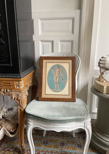 Drawing Print Of The Boizot Venus