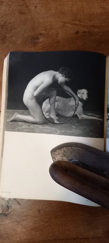 L'Album de la femme/ Fouque-Arlaud (1936)