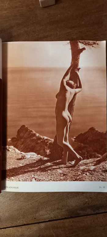 L'Album de la femme/ Fouque-Arlaud (1936)