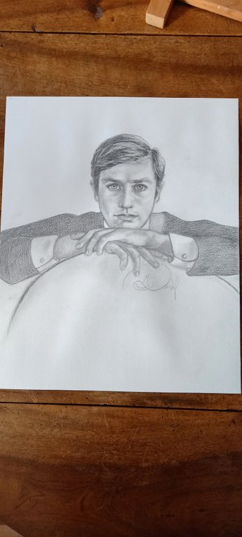 Graue Bleistiftzeichnung/ Porträt von Alain Delon 2014