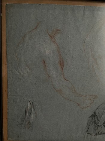 Cadre Ancien Avec Sanguine Etude Anatomie