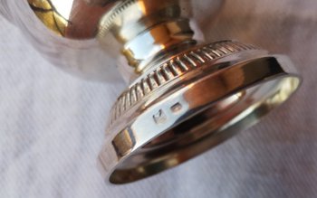 Elegant silver metal sprinkler gadroon model (ref D 0095)