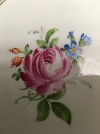 COUPE PAR SCHIERHOLZ 