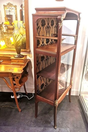 Vitrine De Présentation Art Nouveau