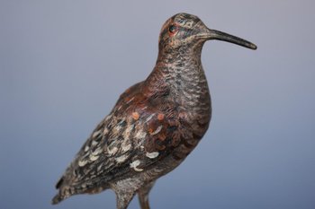 Bécasse En Bronze De Vienne