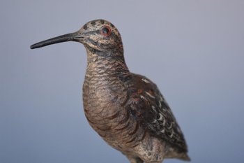 Bécasse En Bronze De Vienne