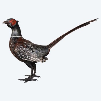 Wiener Bronzefasan