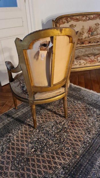 Salon Bois Doré, Style Louis XVI NapolÉon III