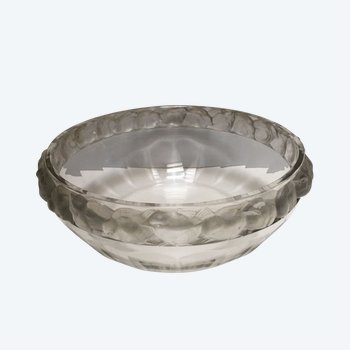 Coppa Sparrow di LALIQUE