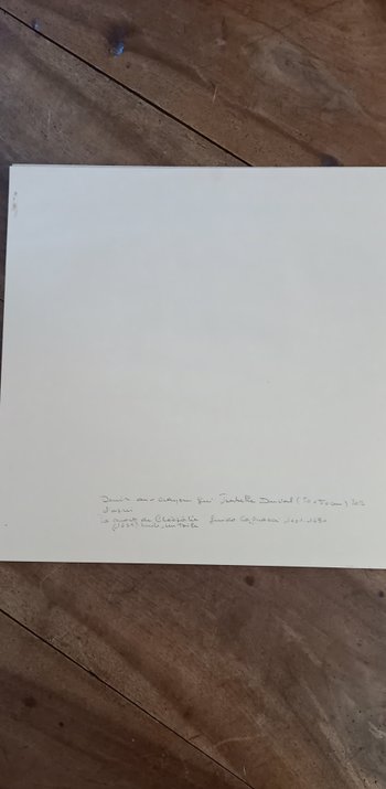 Grey pencil drawing/ The death of Cleopatra