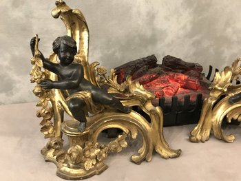 Paire De Chenets En Bronze Doré Et Bronze Patiné D’époque 19ème