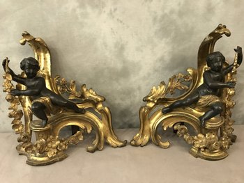 Paire De Chenets En Bronze Doré Et Bronze Patiné D’époque 19ème