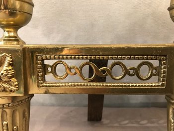 Antique Louis XVI bronze andirons