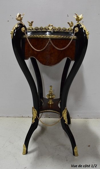 Planter in Thuja burl veneer and blackened wood, Napoleon III period - 19th century