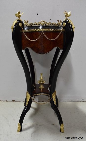 Planter in Thuja burl veneer and blackened wood, Napoleon III period - 19th century