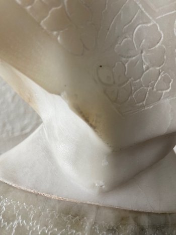 Busto di giovane donna