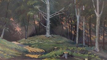 Foresta ungherese 1955