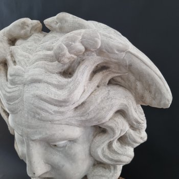 XVI secolo, Rara Gorgone Medusa in marmo.