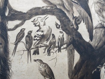 Gravure XVIIIe Siècle, « A Concert Of Birds ».