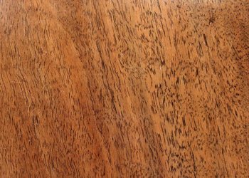 Table Desserte à Roulettes en Noyer, Art Déco – Début XXe