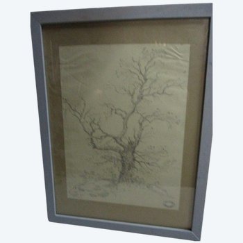 Disegno di Armand Point.