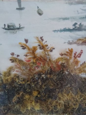 View of the islet on Lescaut 1808