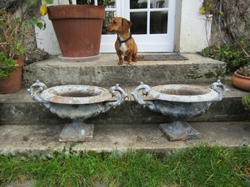 Pair of basins