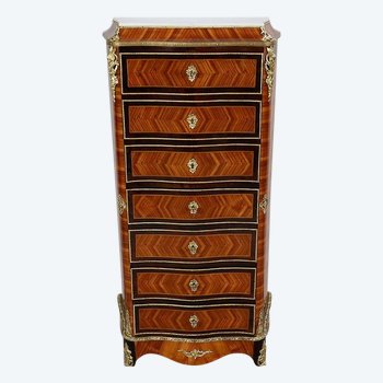 Precious Wood Secretary, Napoleon III period - Mid 19th century