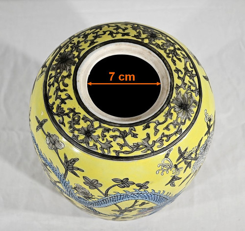 Vaso con Due Draghi, Porcellana Cinese, Dinastia Qing - XIX Secolo