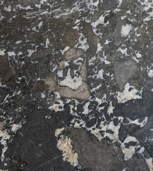 Tomba Piccola Comò in Legno Pregiato, transizione Luigi XIV / Luigi XV – XVIII secolo