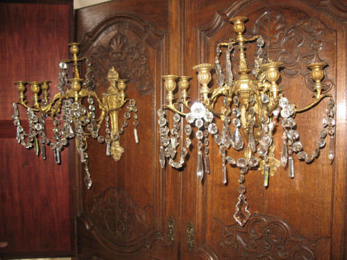 Coppia di appliques in ormù a 6 luci in stile Luigi XVI del XIX secolo