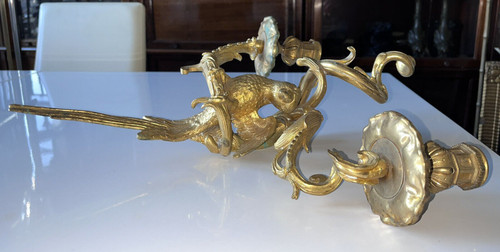 C.Cressent (1685-1768) o Maison BAGUES. Lampada da parete con pappagallo in bronzo dorato