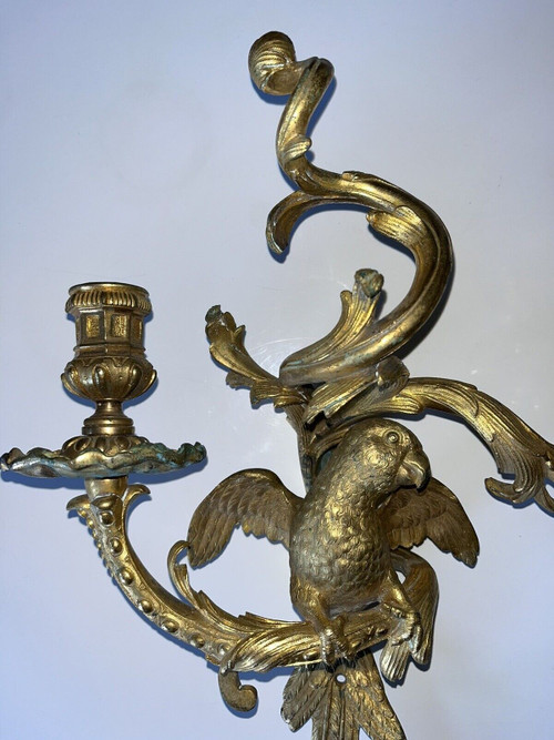 C.Cressent (1685-1768) o Maison BAGUES. Lampada da parete con pappagallo in bronzo dorato