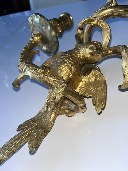 C.Cressent (1685-1768) o Maison BAGUES. Lampada da parete con pappagallo in bronzo dorato