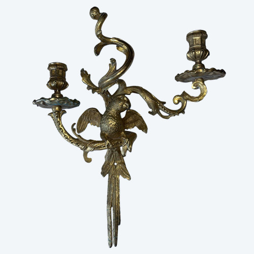 C.Cressent (1685-1768) ou Maison BAGUES. Applique au perroquet en bronze doré