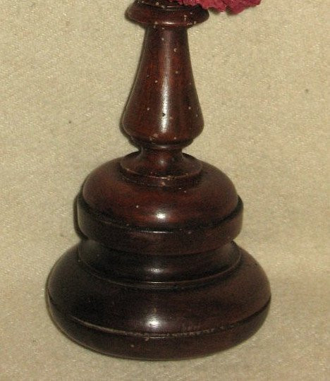 Large red coral Tubipora mounted on a wooden base cabinet of curiosities