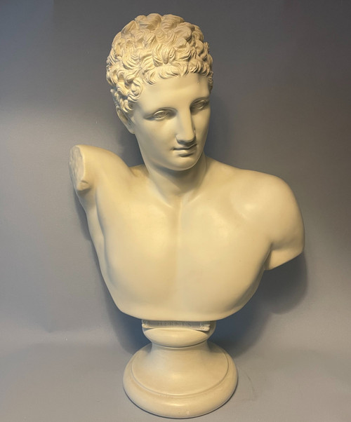 Hermes di Prassitele - Busto in gesso (Mercurio o Hermes) - H 54