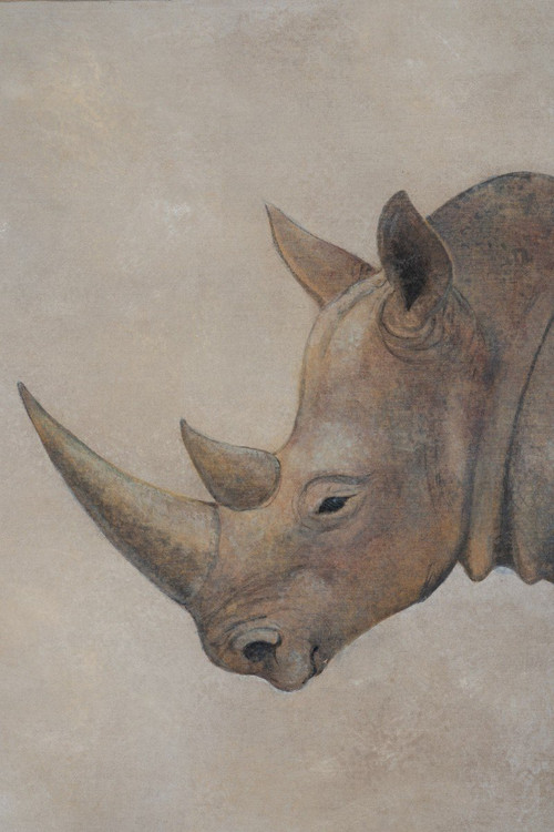 Gemalte Leinwand, Rhinozeros, Zeitgenössische Arbeit, LS56421351A