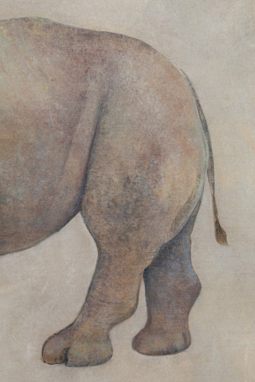 Gemalte Leinwand, Rhinozeros, Zeitgenössische Arbeit, LS56421351A