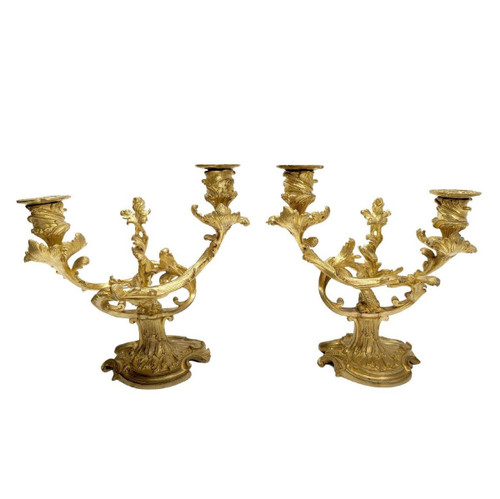 Pendulum Rockery Trim In Gilt Bronze Louis XV Style, Late Nineteenth Time
