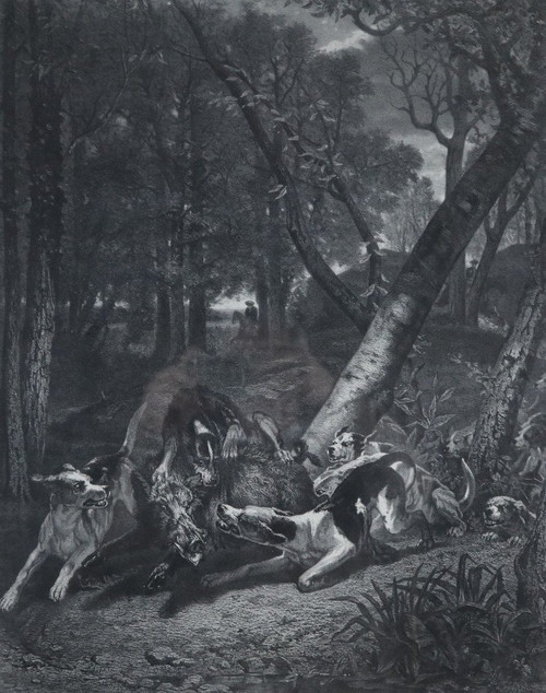 Venerie, L.G.JADIN, Hallali De Sanglier, Lithographie, 1858.
