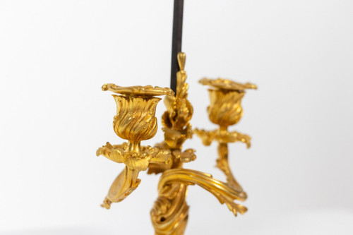 Rocaille Style Screen Lamp In Gilt Bronze, Circa 1880, LS51961651A