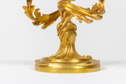 Rocaille Style Screen Lamp In Gilt Bronze, Circa 1880, LS51961651A