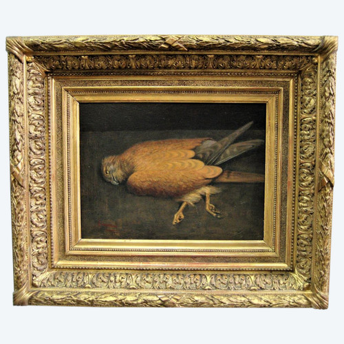 Natura Morta Con Rapace, Olio Su Tavola, Scuola Francese Del Novecento