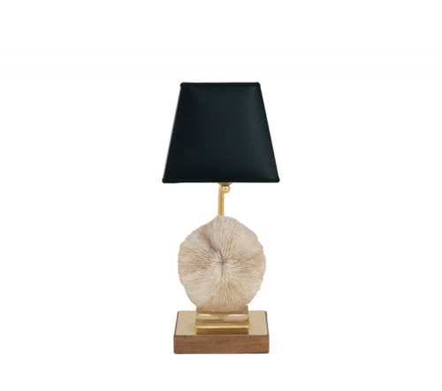 Lampe Corail Fungia Fungites Et Laiton Doré, Années 1970 - Ls382481